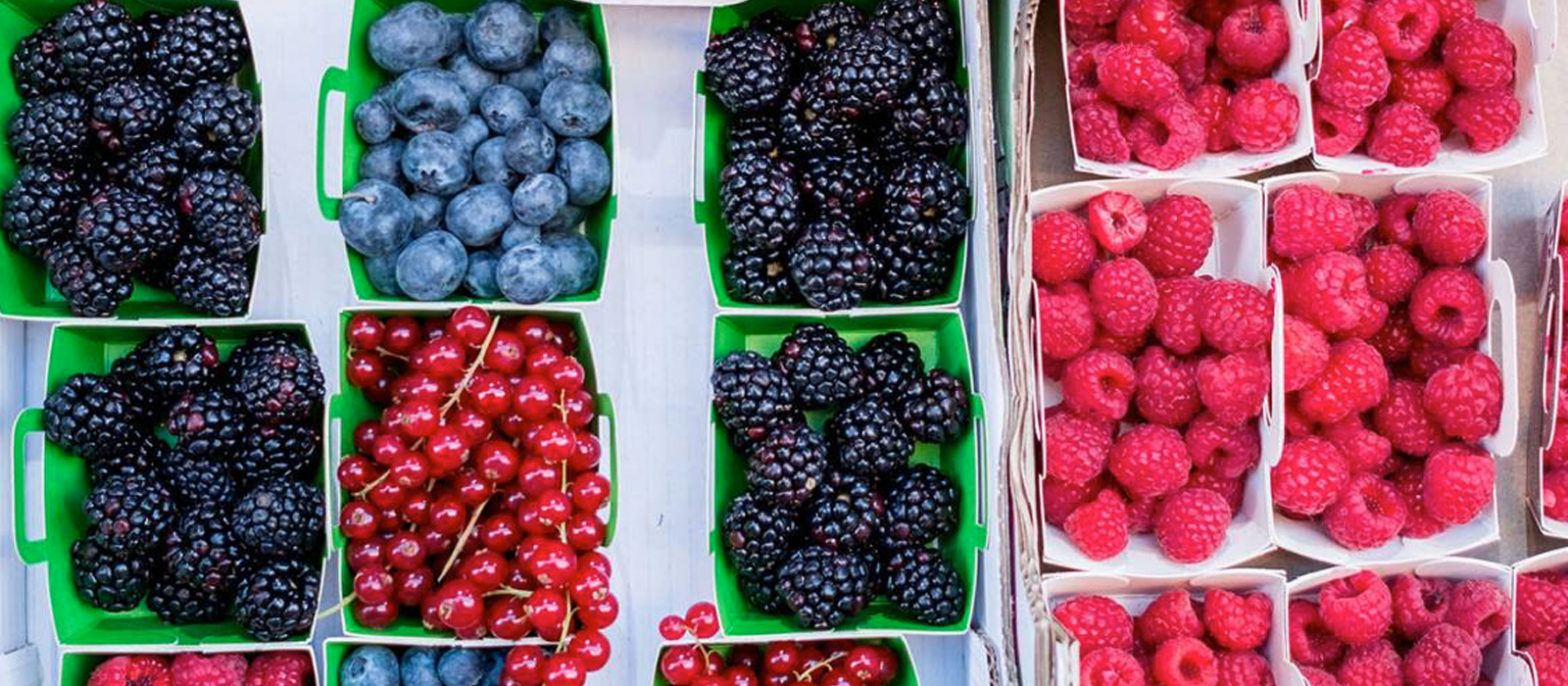 Les fruits rouges