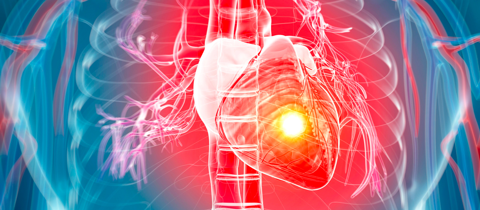 Les facteurs de risque cardiovasculaires - FFC