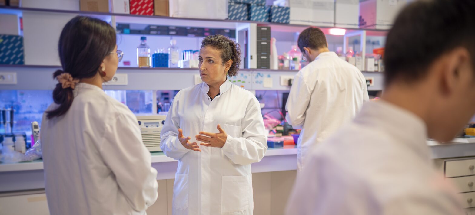 Bourse grands projets 2026